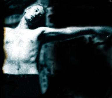 https://www.treefingers.com/gallery/gallery/thom/thom433.jpg